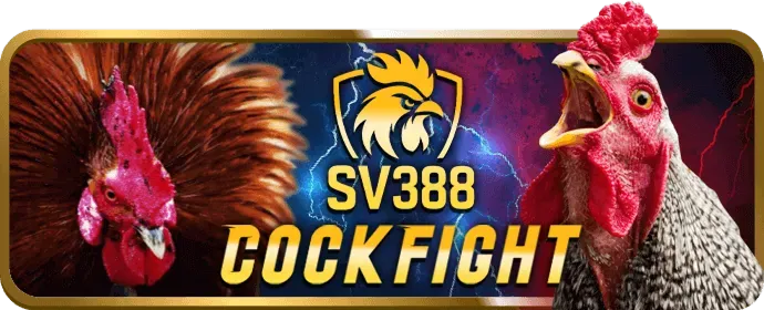 Tính năng vũ khí độc đáo